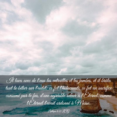Picture 03 - Lévitique 8:21 LSG - Il lava avec de l'eau les entrailles et les - Bible Verse Picture