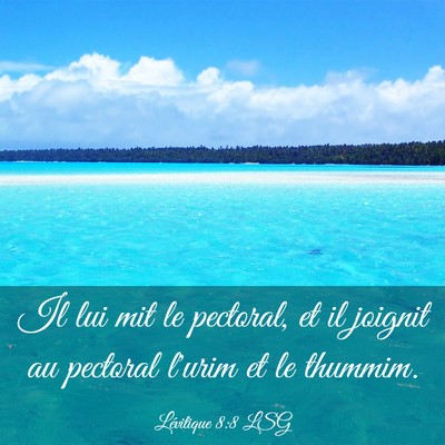 Picture 03 - Lévitique 8:8 LSG - Il lui mit le pectoral, et il joignit au pectoral - Bible Verse Picture
