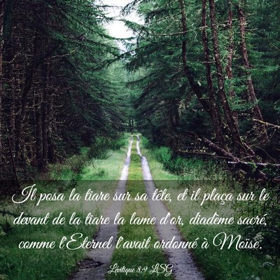 Picture 03 - Lévitique 8:9 LSG - Il posa la tiare sur sa tête, et il plaça sur - Bible Verse Picture