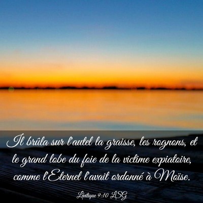 Picture 03 - Lévitique 9:10 LSG - Il brûla sur l'autel la graisse, les rognons, et - Bible Verse Picture