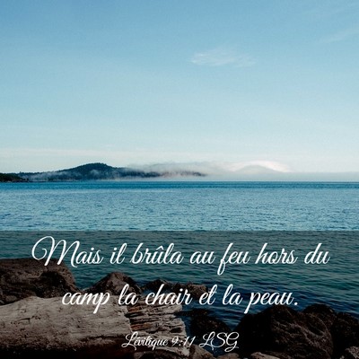 Picture 03 - Lévitique 9:11 LSG - Mais il brûla au feu hors du camp la chair et la - Bible Verse Picture