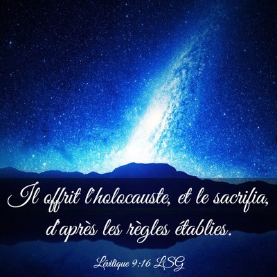 Picture 03 - Lévitique 9:16 LSG - Il offrit l'holocauste, et le sacrifia, d'après - Bible Verse Picture