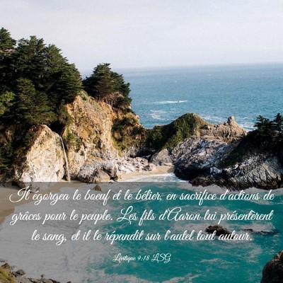 Picture 03 - Lévitique 9:18 LSG - Il égorgea le boeuf et le bélier, en sacrifice - Bible Verse Picture