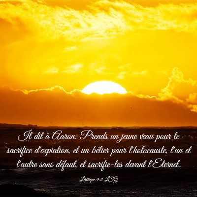 Picture 03 - Lévitique 9:2 LSG - Il dit à Aaron: Prends un jeune veau pour le - Bible Verse Picture