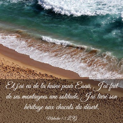 Picture 03 - Malachie 1:3 LSG - Et j'ai eu de la haine pour Esaü, J'ai fait de - Bible Verse Picture