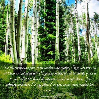 Picture 03 - Malachie 1:6 LSG - Un fils honore son père, et un serviteur son - Bible Verse Picture