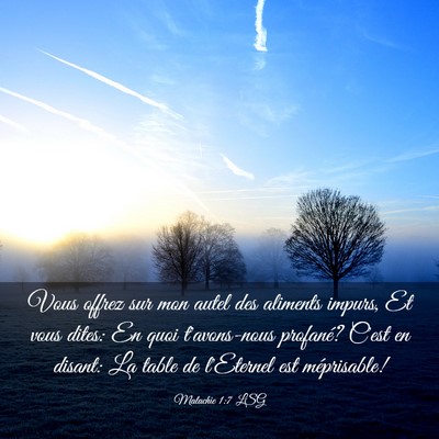 Picture 03 - Malachie 1:7 LSG - Vous offrez sur mon autel des aliments impurs, Et - Bible Verse Picture