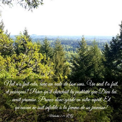 Picture 03 - Malachie 2:15 LSG - Nul n'a fait cela, avec un reste de bon sens. Un - Bible Verse Picture