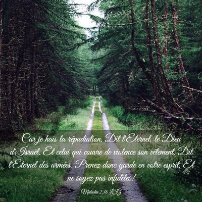 Picture 03 - Malachie 2:16 LSG - Car je hais la répudiation, Dit l'Eternel, le - Bible Verse Picture