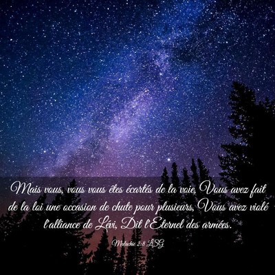 Picture 03 - Malachie 2:8 LSG - Mais vous, vous vous êtes écartés de la voie, - Bible Verse Picture