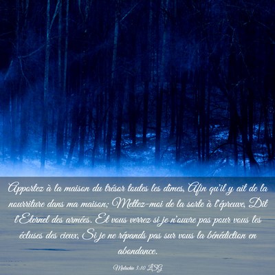 Picture 03 - Malachie 3:10 LSG - Apportez à la maison du trésor toutes les - Bible Verse Picture