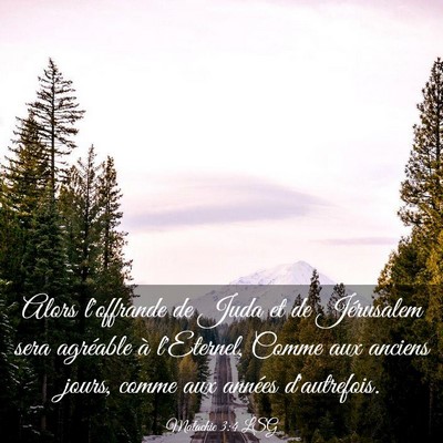 Picture 03 - Malachie 3:4 LSG - Alors l'offrande de Juda et de Jérusalem sera - Bible Verse Picture