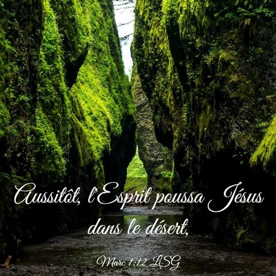 Picture 03 - Marc 1:12 LSG - Aussitôt, l'Esprit poussa Jésus dans le - Bible Verse Picture