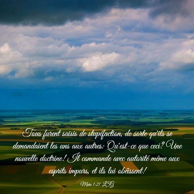 Picture 03 - Marc 1:27 LSG - Tous furent saisis de stupéfaction, de sorte - Bible Verse Picture