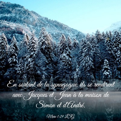 Picture 03 - Marc 1:29 LSG - En sortant de la synagogue, ils se rendirent avec - Bible Verse Picture