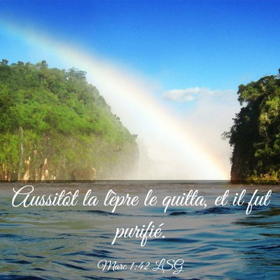 Picture 03 - Marc 1:42 LSG - Aussitôt la lèpre le quitta, et il fut - Bible Verse Picture