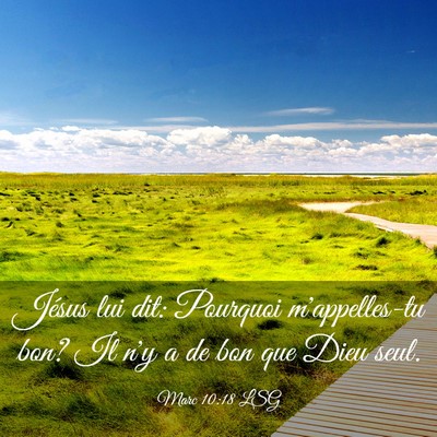 Picture 03 - Marc 10:18 LSG - Jésus lui dit: Pourquoi m'appelles-tu bon? Il - Bible Verse Picture