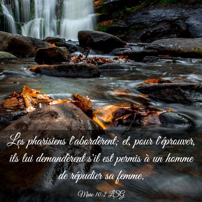 Picture 03 - Marc 10:2 LSG - Les pharisiens l'abordèrent; et, pour - Bible Verse Picture
