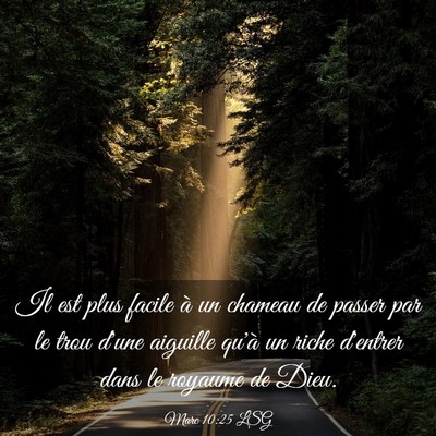 Picture 03 - Marc 10:25 LSG - Il est plus facile à un chameau de passer par le - Bible Verse Picture