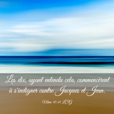 Picture 03 - Marc 10:41 LSG - Les dix, ayant entendu cela, commencèrent à - Bible Verse Picture