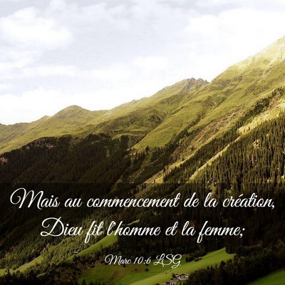 Picture 03 - Marc 10:6 LSG - Mais au commencement de la création, Dieu fit - Bible Verse Picture