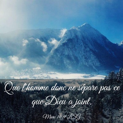Picture 03 - Marc 10:9 LSG - Que l'homme donc ne sépare pas ce que Dieu a - Bible Verse Picture