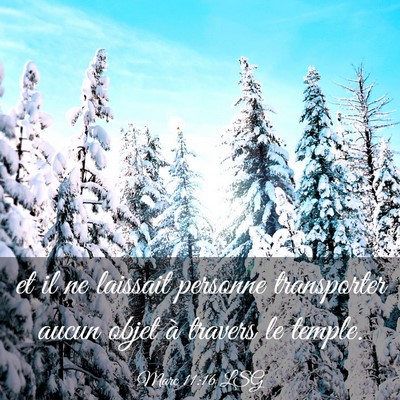 Picture 03 - Marc 11:16 LSG - et il ne laissait personne transporter aucun - Bible Verse Picture