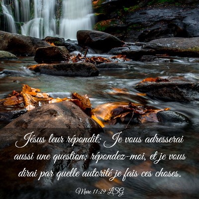 Picture 03 - Marc 11:29 LSG - Jésus leur répondit: Je vous adresserai aussi - Bible Verse Picture