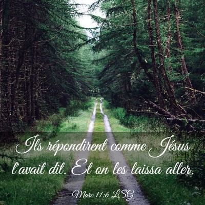 Picture 03 - Marc 11:6 LSG - Ils répondirent comme Jésus l'avait dit. Et on - Bible Verse Picture