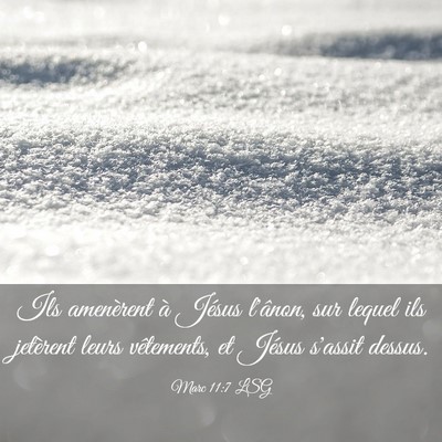 Picture 03 - Marc 11:7 LSG - Ils amenèrent à Jésus l'ânon, sur lequel ils - Bible Verse Picture