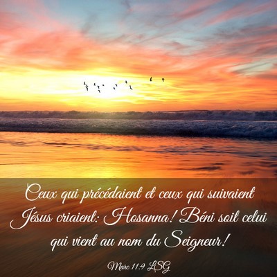 Picture 03 - Marc 11:9 LSG - Ceux qui précédaient et ceux qui suivaient - Bible Verse Picture