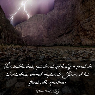 Picture 03 - Marc 12:18 LSG - Les sadducéens, qui disent qu'il n'y a point de - Bible Verse Picture