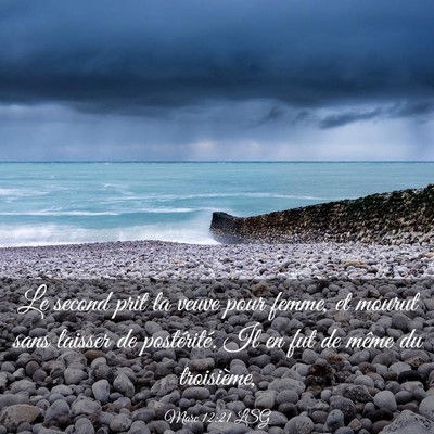 Picture 03 - Marc 12:21 LSG - Le second prit la veuve pour femme, et mourut - Bible Verse Picture