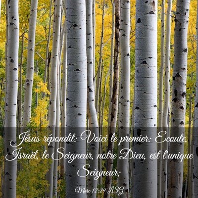 Picture 03 - Marc 12:29 LSG - Jésus répondit: Voici le premier: Ecoute, - Bible Verse Picture