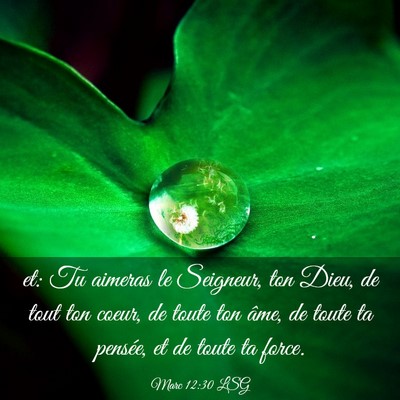 Picture 03 - Marc 12:30 LSG - et: Tu aimeras le Seigneur, ton Dieu, de tout ton - Bible Verse Picture