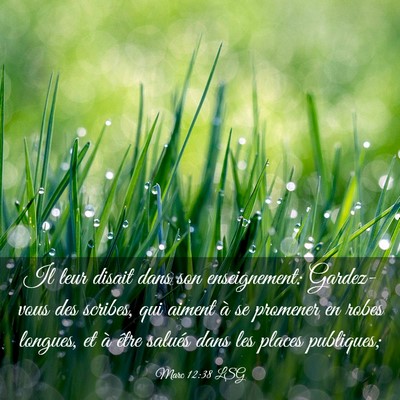 Picture 03 - Marc 12:38 LSG - Il leur disait dans son enseignement: Gardez-vous - Bible Verse Picture