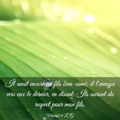 Picture 03 - Marc 12:6 LSG - Il avait encore un fils bien-aimé; il l'envoya - Bible Verse Picture