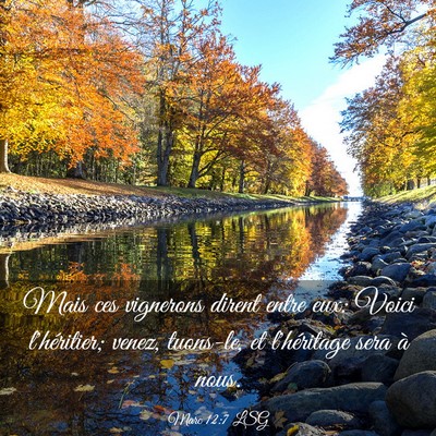Picture 03 - Marc 12:7 LSG - Mais ces vignerons dirent entre eux: Voici - Bible Verse Picture