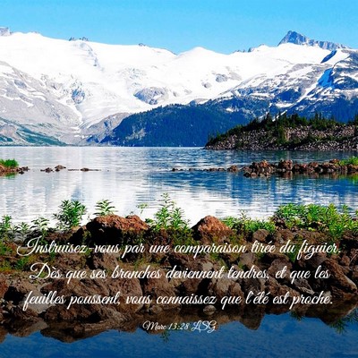 Picture 03 - Marc 13:28 LSG - Instruisez-vous par une comparaison tirée du - Bible Verse Picture