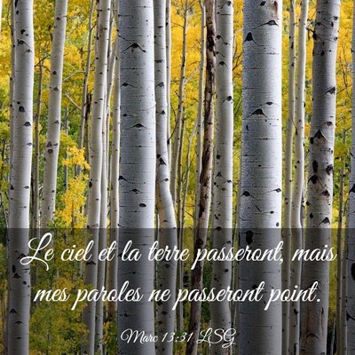 Picture 03 - Marc 13:31 LSG - Le ciel et la terre passeront, mais mes paroles - Bible Verse Picture