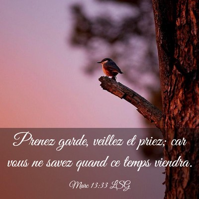 Picture 03 - Marc 13:33 LSG - Prenez garde, veillez et priez; car vous ne savez - Bible Verse Picture