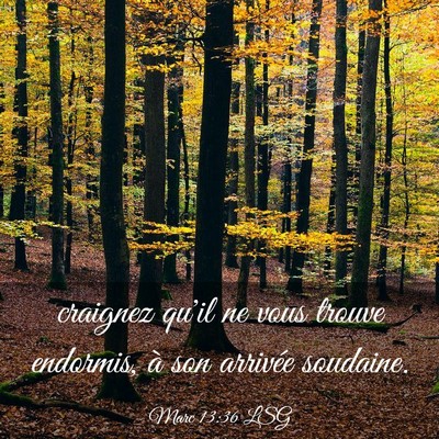 Picture 03 - Marc 13:36 LSG - craignez qu'il ne vous trouve endormis, à son - Bible Verse Picture