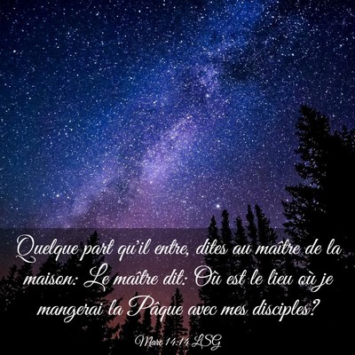 Picture 03 - Marc 14:14 LSG - Quelque part qu'il entre, dites au maître de la - Bible Verse Picture