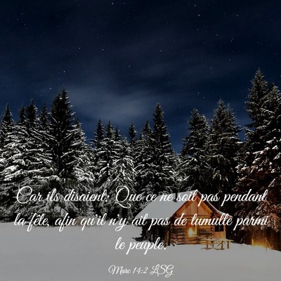 Picture 03 - Marc 14:2 LSG - Car ils disaient: Que ce ne soit pas pendant la - Bible Verse Picture