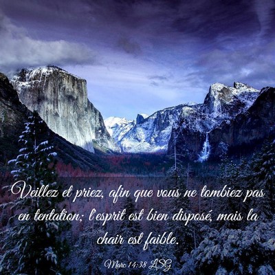 Picture 03 - Marc 14:38 LSG - Veillez et priez, afin que vous ne tombiez pas en - Bible Verse Picture