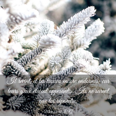 Picture 03 - Marc 14:40 LSG - Il revint, et les trouva encore endormis; car - Bible Verse Picture