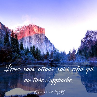 Picture 03 - Marc 14:42 LSG - Levez-vous, allons; voici, celui qui me livre - Bible Verse Picture