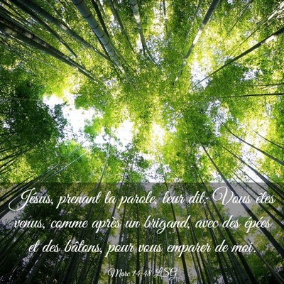 Picture 03 - Marc 14:48 LSG - Jésus, prenant la parole, leur dit: Vous êtes - Bible Verse Picture