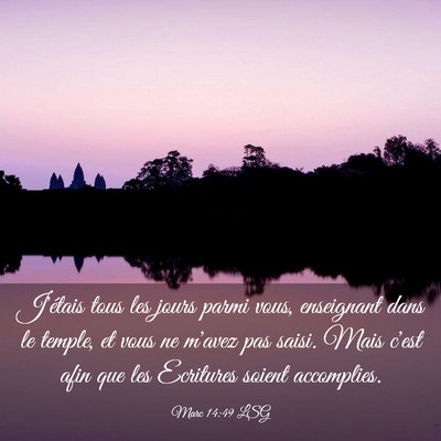 Picture 03 - Marc 14:49 LSG - J'étais tous les jours parmi vous, enseignant - Bible Verse Picture