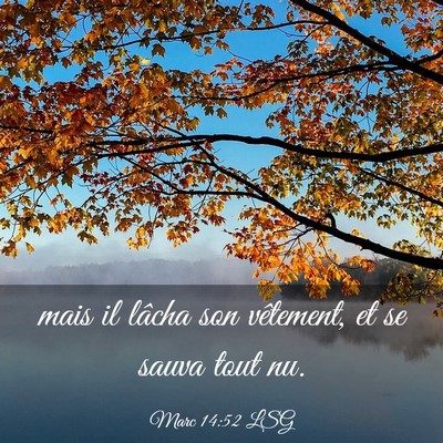 Picture 03 - Marc 14:52 LSG - mais il lâcha son vêtement, et se sauva tout - Bible Verse Picture
